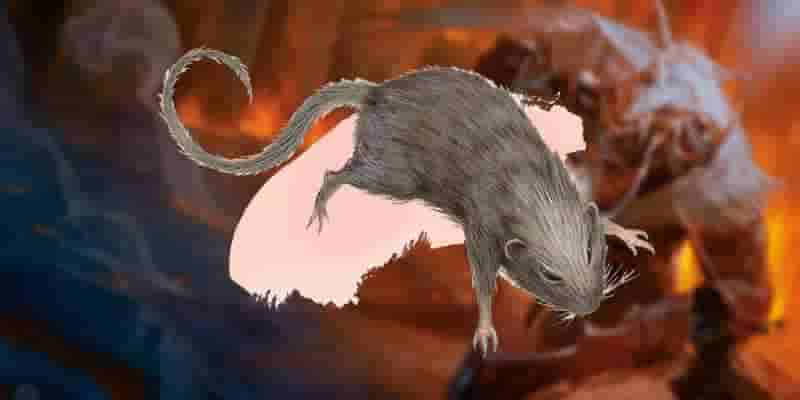 D&D 5e: 10 клише-приключений, которые до сих пор нравятся игрокам