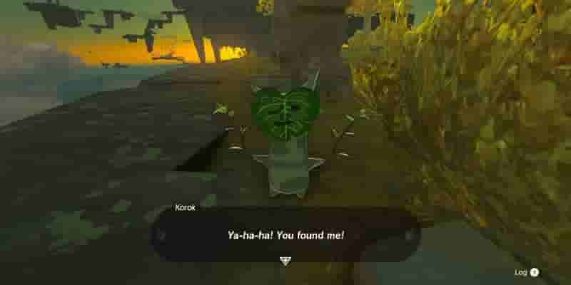 Tears Of The Kingdom: Все Korok Seeds on Great Sky Island