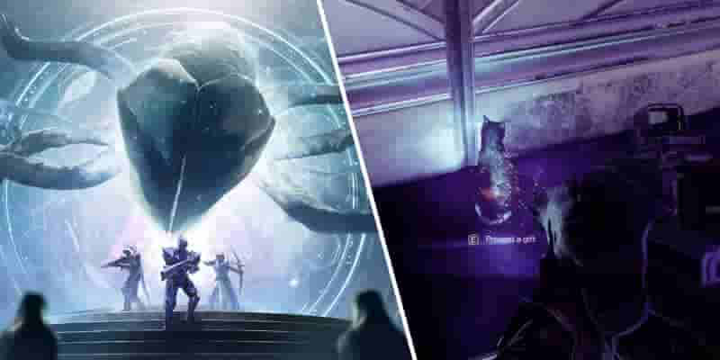 Destiny 2 Season Of The Wish: все локации Starcat