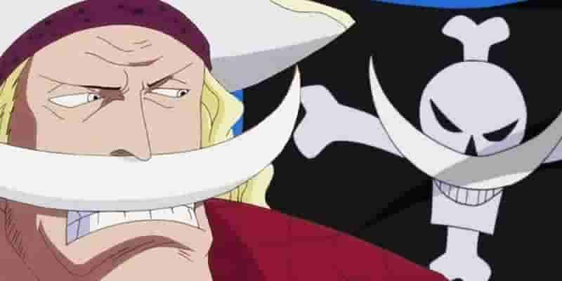 22 персонажа One Piece, основанных на реальных пиратах
