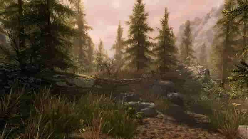 10 советов, которые следует знать новичкам Skyrim