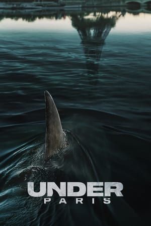 Одобренный Стивеном Кингом фильм ужасов об акулах от Netflix становится сиквел после успеха на потоковой передаче