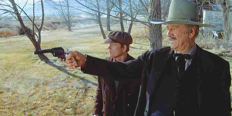 10 лучших вестернов Джона Уэйна, рейтинг