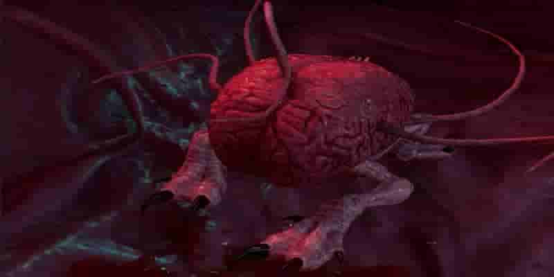 Baldur's Gate 3: The Brain Choice Гайд