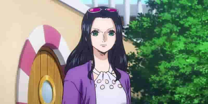 One Piece: возраст, рост и дни рождения главных героев