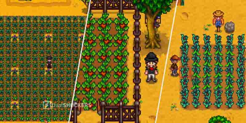 Как получить увеличительное стекло в Stardew Valley