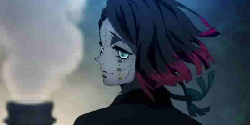 Demon Slayer : 10 самых ненавидимых персонажей в рейтинге