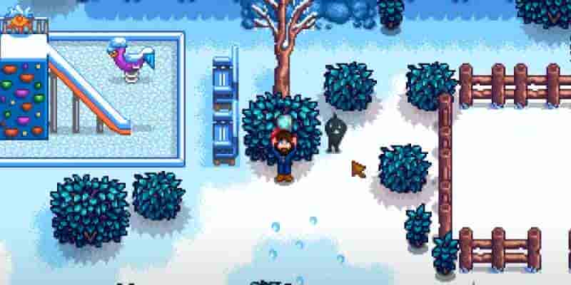 Как получить увеличительное стекло в Stardew Valley