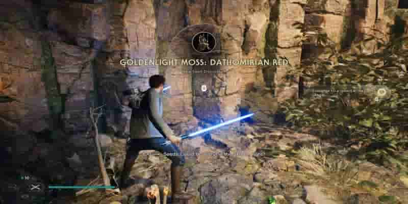 Star Wars Jedi: Survivor — расположение всех коллекционных семян