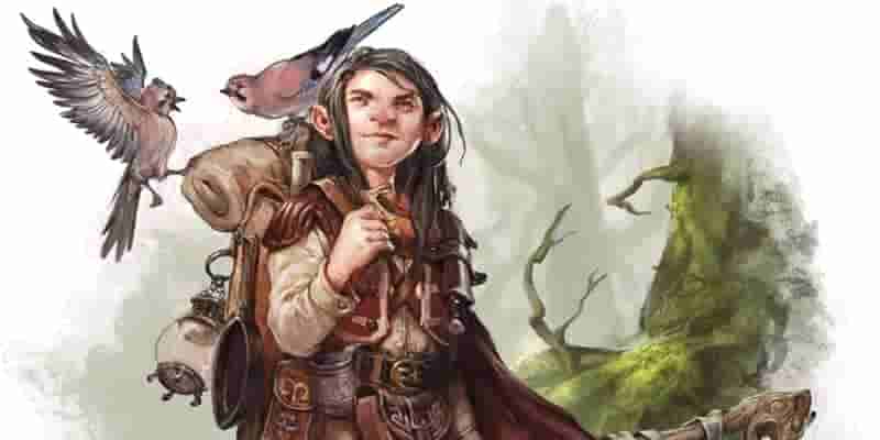 D&D: лучшие классы для вашего следующего персонажа-гнома в рейтинге